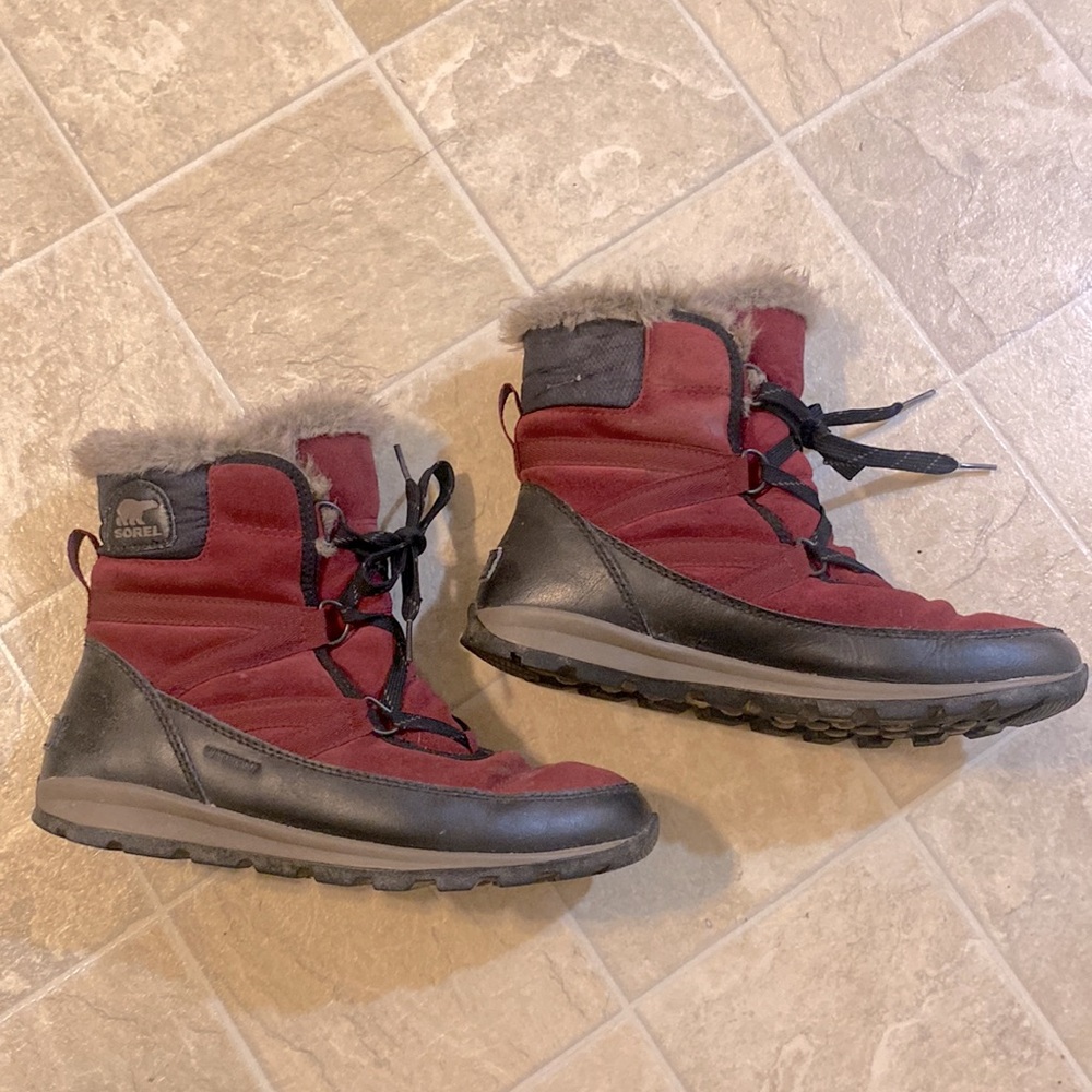 Stylish SOREL Women’s Tivoli Sport Cattail Winter Boot